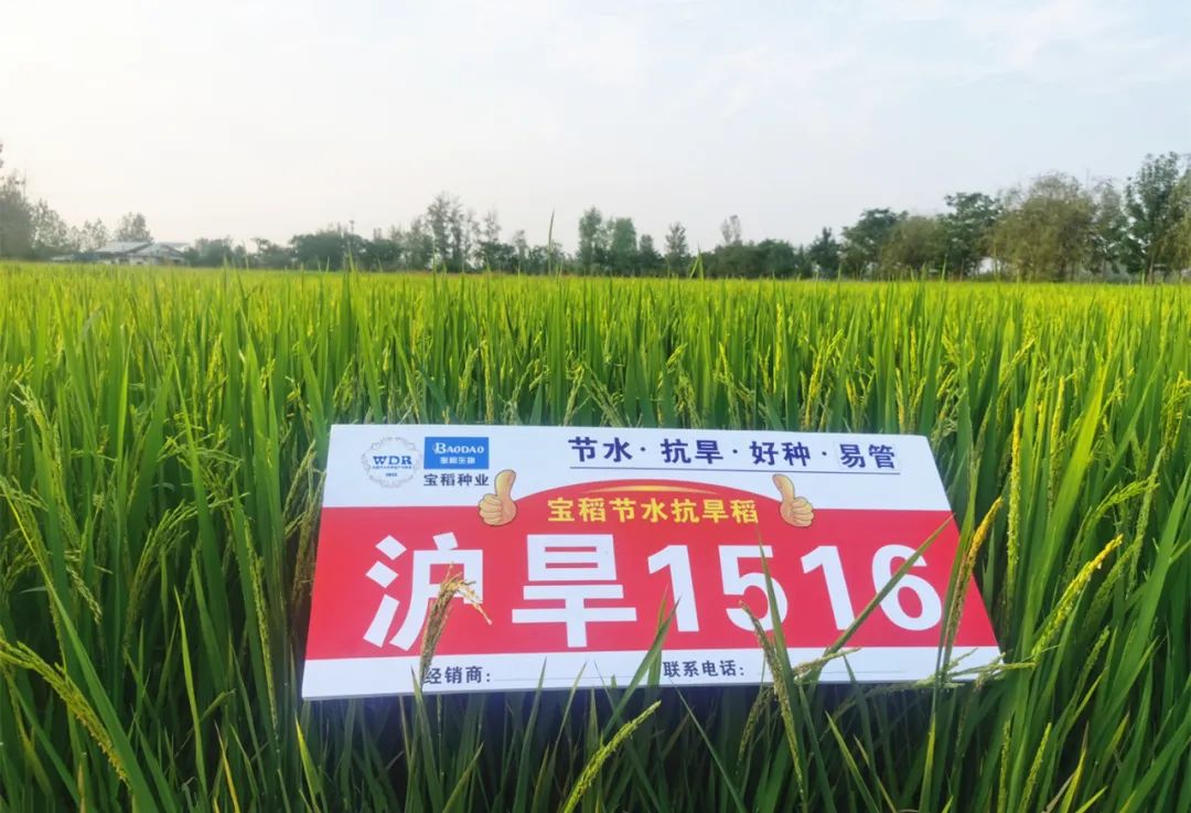 640 (1).jpeg 640 (1).jpeg